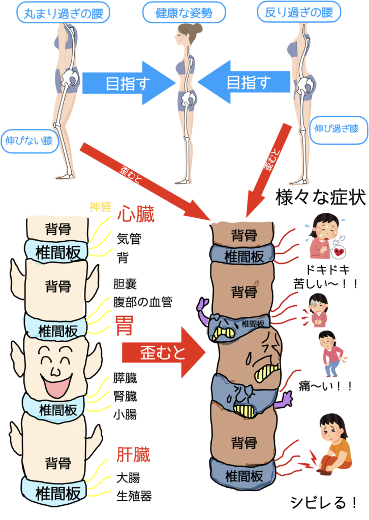 武蔵小金井 頭痛 整体